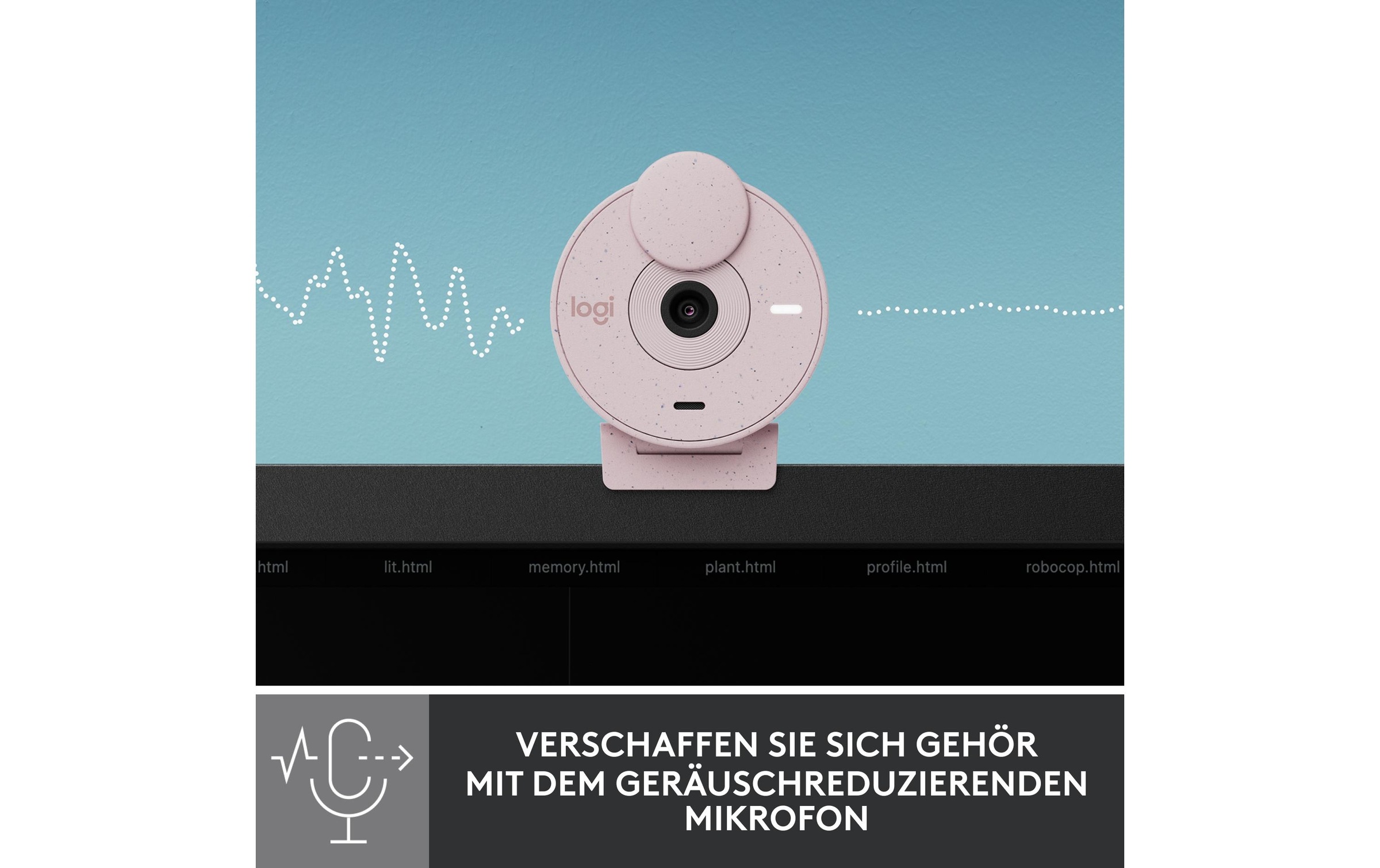 Logitech Webcam »Brio 300 rose«
