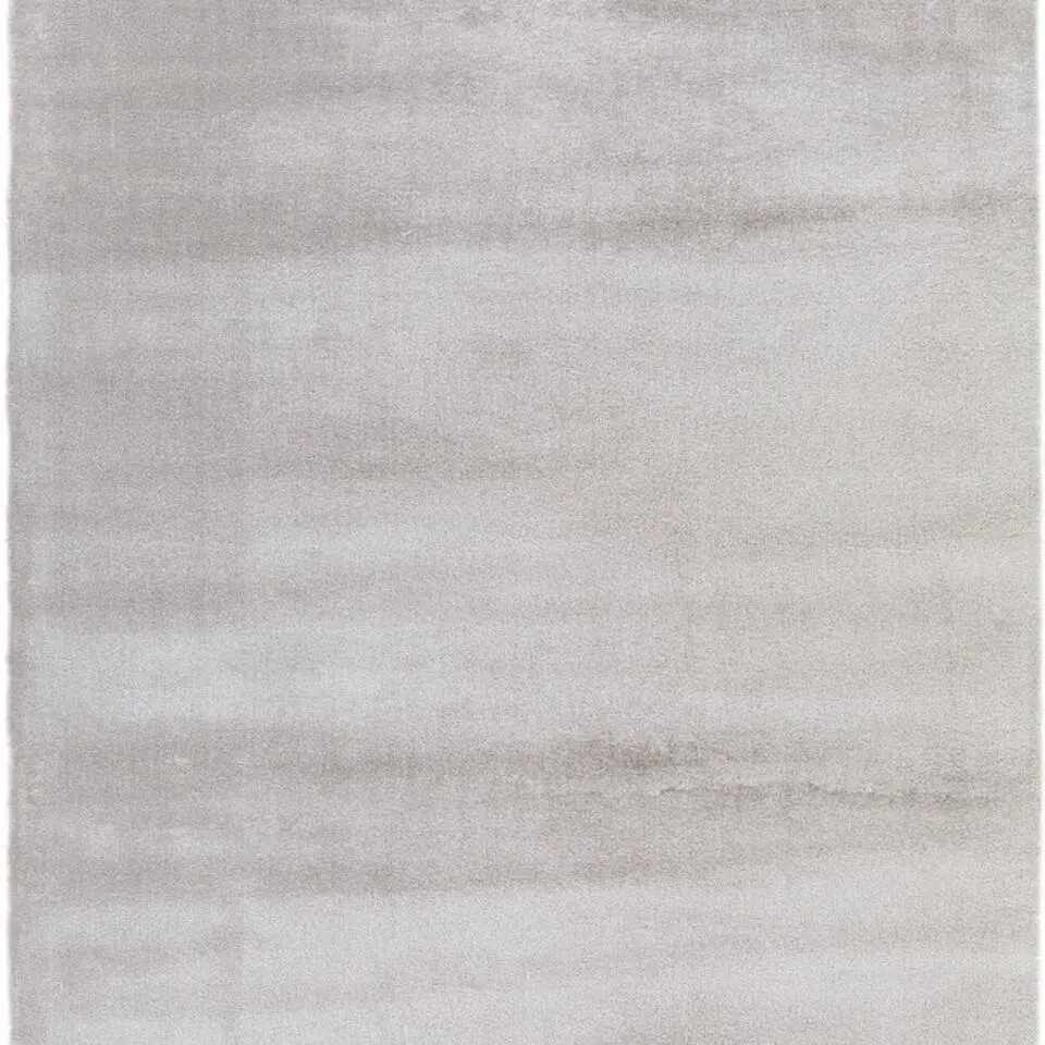 Dutch Lifestyle - Polypropyleen - Vloerkleed - 160x230 cm - Grijs