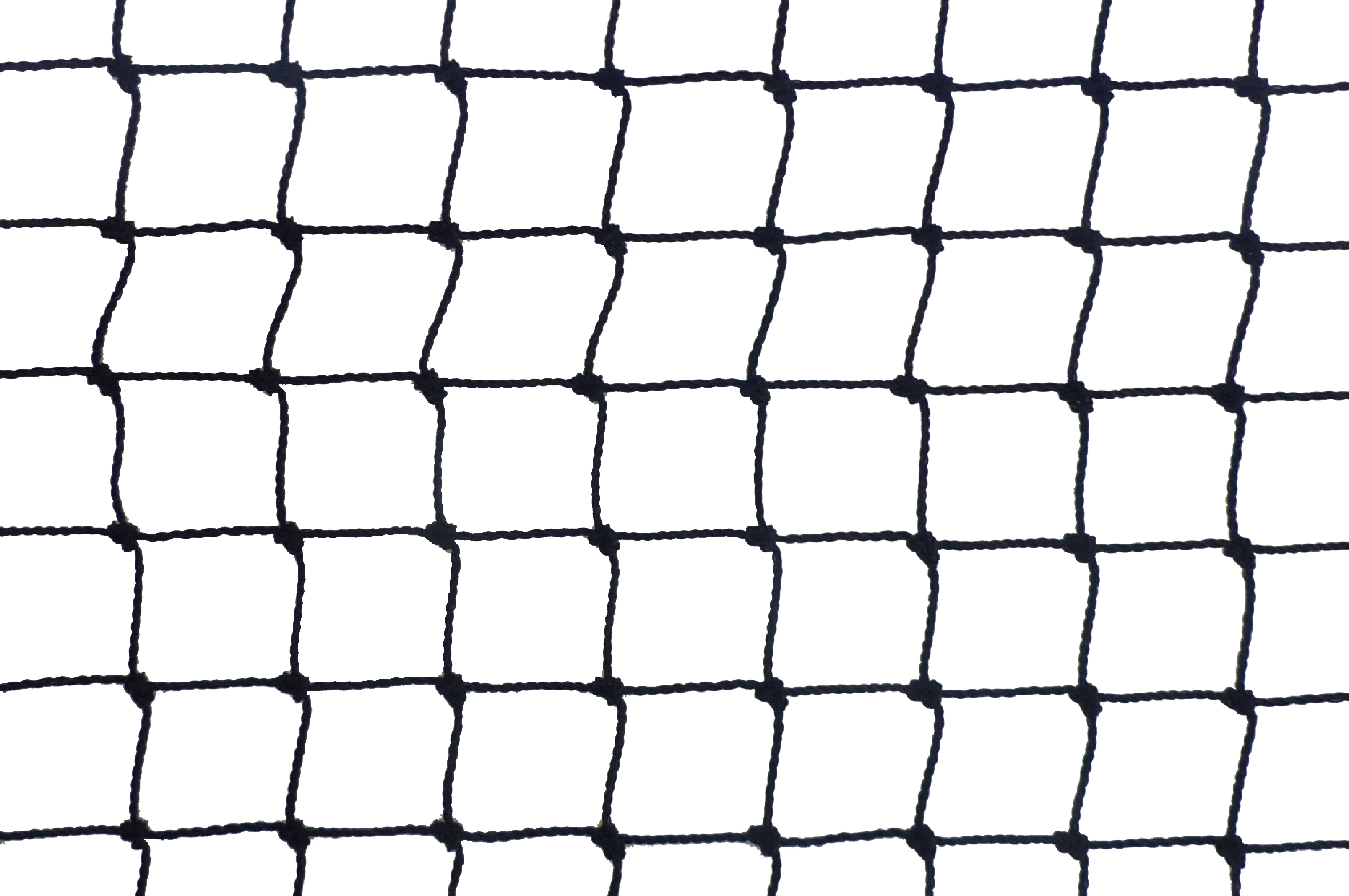 Filet anti-moineaux - maille de 19mm noir 4m x 5m