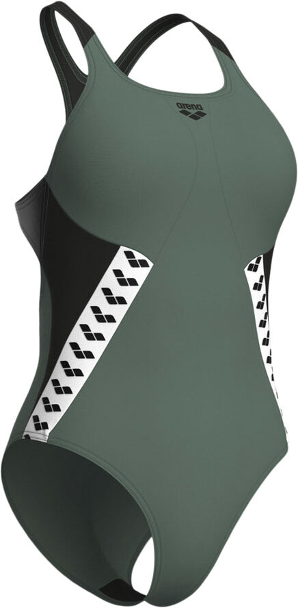 Arena Stripe Badedragt Grøn