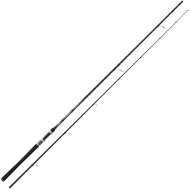 Canne Manié Balzer Diabolo Fury Zander Specimen