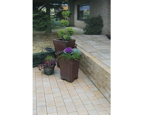iBrixx Passion Twee zandsteen wandsteen 60 x 12,5 x 12,5 cm