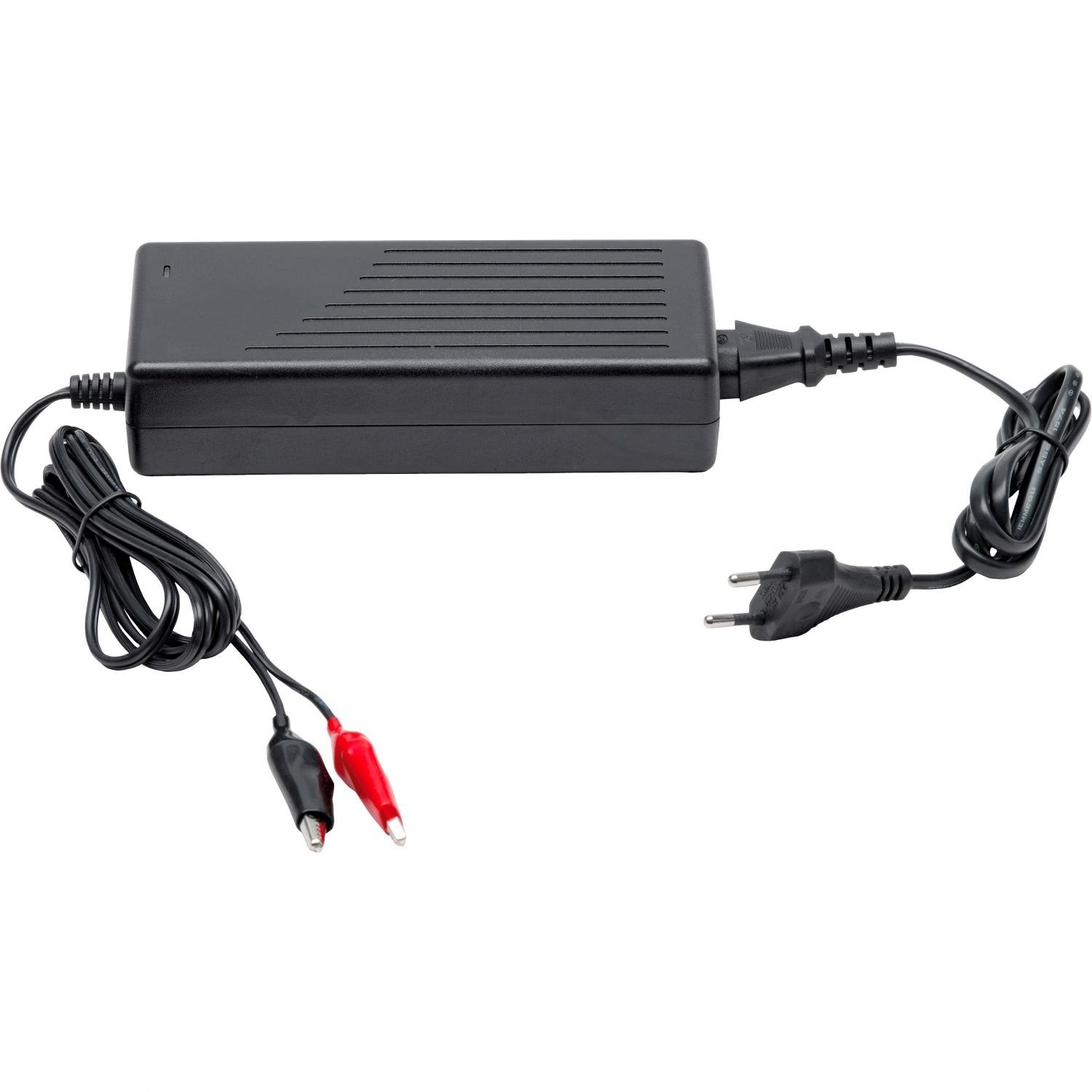 Ladegerät für Vliesbatterie