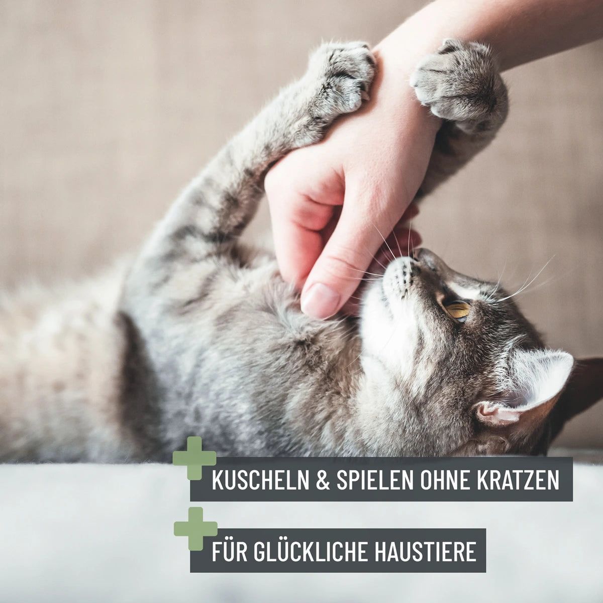 Krallenschere S für kleine Pfoten - ReaVET