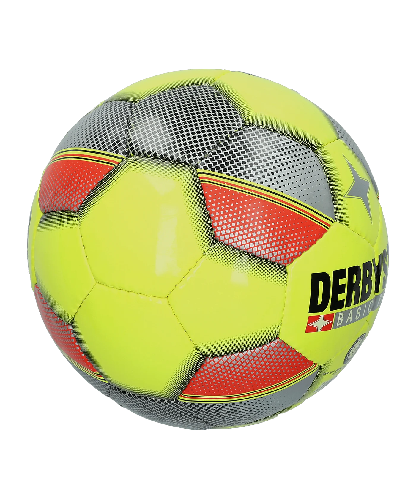 Derbystar Futsal Basic Pro S-Light Fussball F596