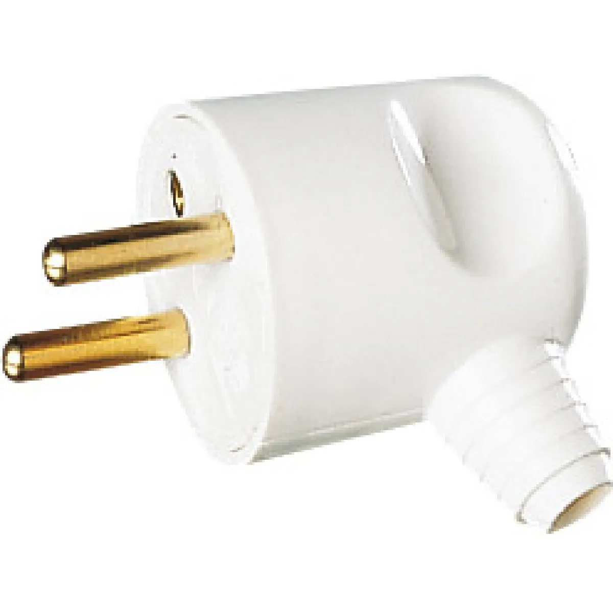 Lebenoid Lebenoin Fiche mâle 2P+T - Blanc