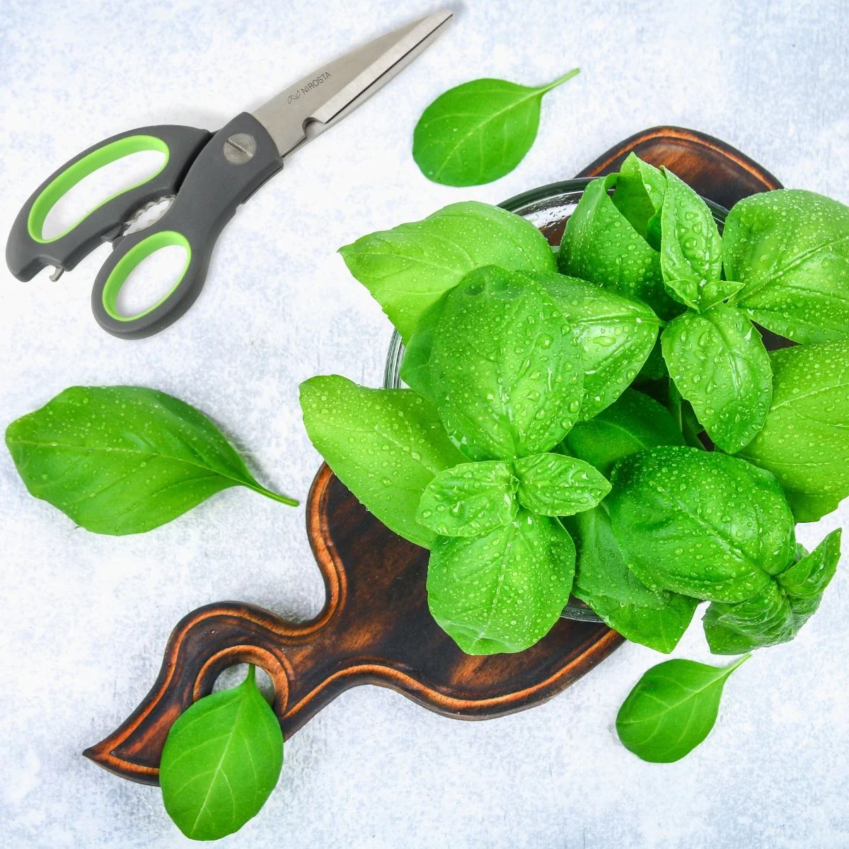 Ciseaux de cuisine Praktika Nirosta