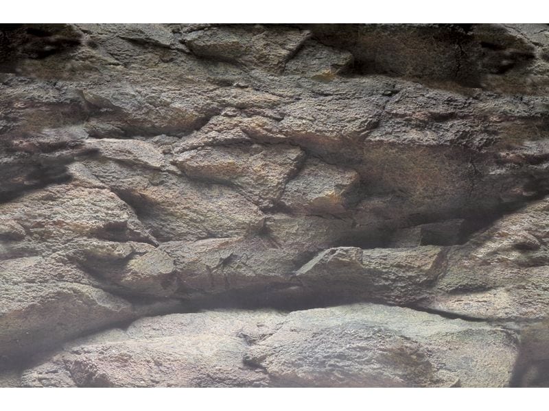 SuperFish Rückwandfolie Deko Poster B5 120 x 61 cm Poster-Rückwand für das Aquarium