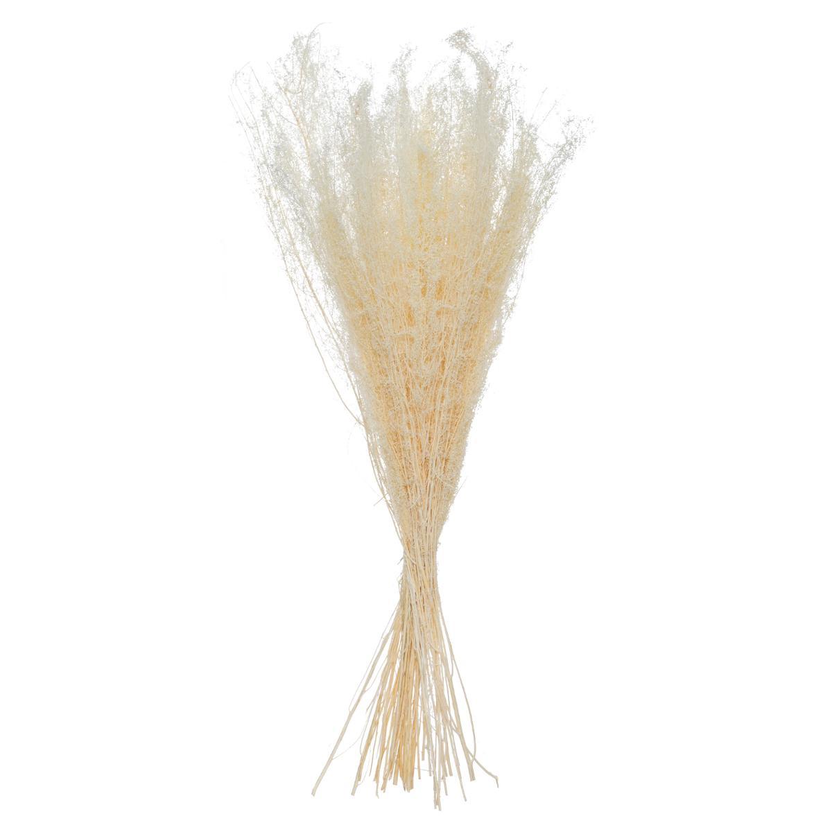 BOUQUET SECHE