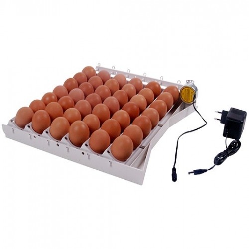 Bandeja giratória automática de ovos Finca Casarejo