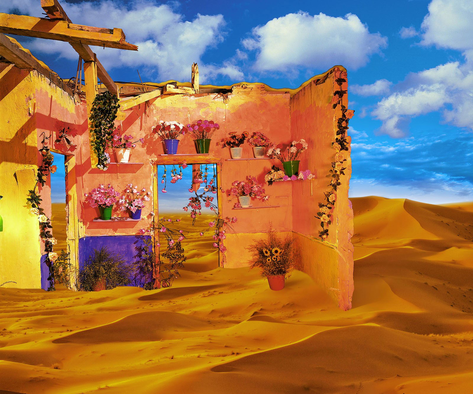 Desierto con flores by Rosa Muñoz - Limited Edition. Edition of: 150. Signed.