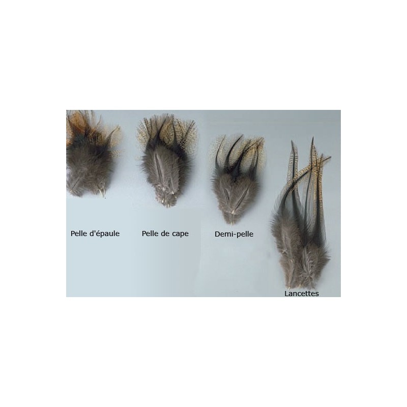 Plume Naturelle De Coq Jmc Spécial Pêche - Par 10
