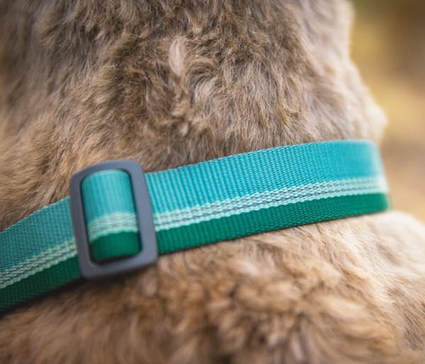 RUFFWEAR® Hundehalsband Chain Reaction™