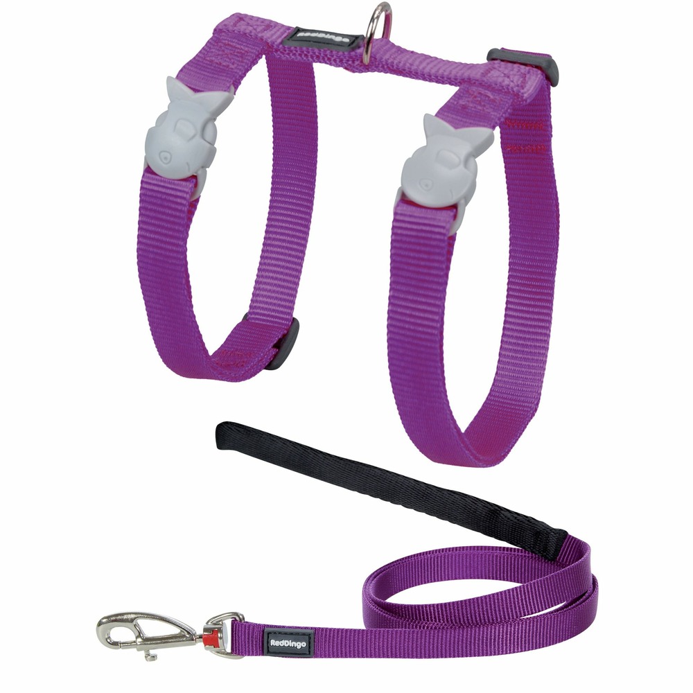 Ensemble harnais et laisse red dingo chats basic violet