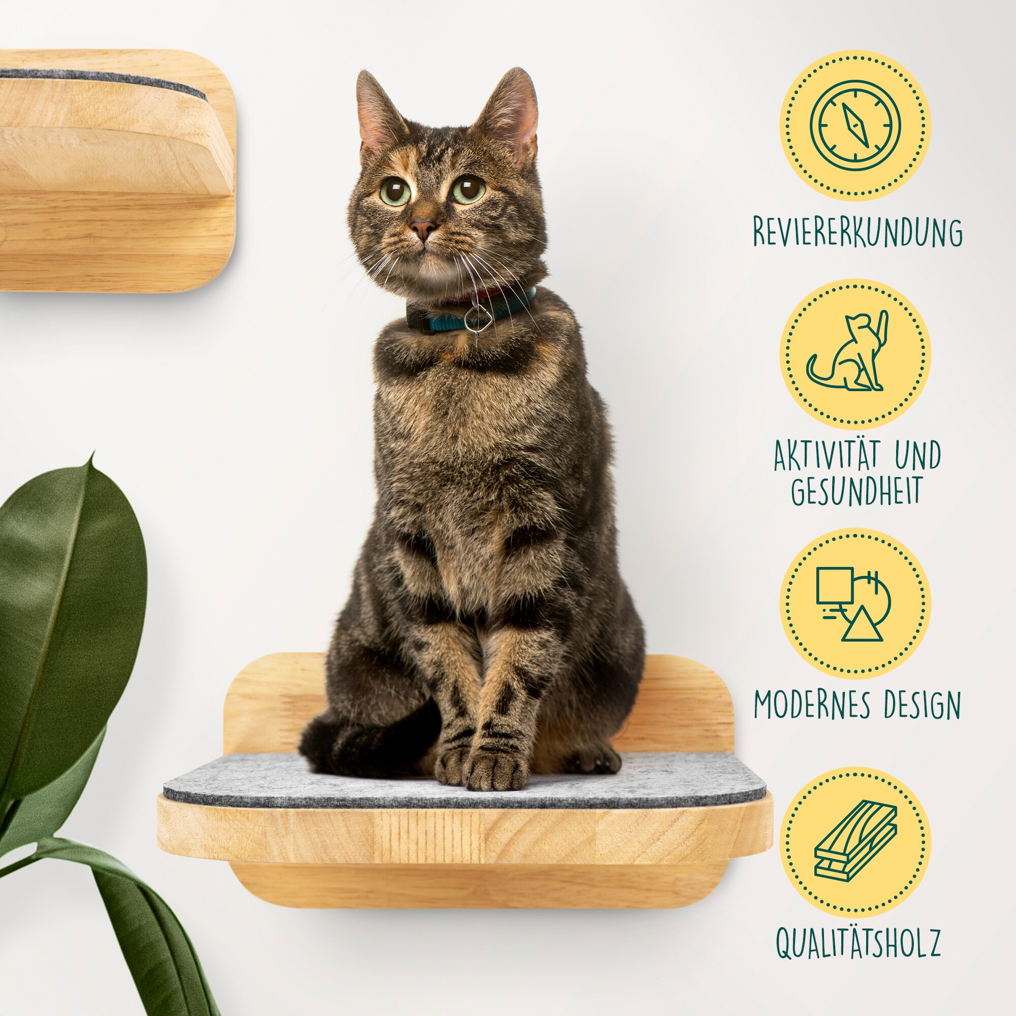 HAPPYPET Katzentreppen 3er-Set für Wandmontage - Nachhaltiges Hartholz, Designer Kletterwand Katzen, Katzentreppe mit Filzbezug, Katzenleiter, Katzenwand zum Klettern, Catwalk | Natur3x Stufen L