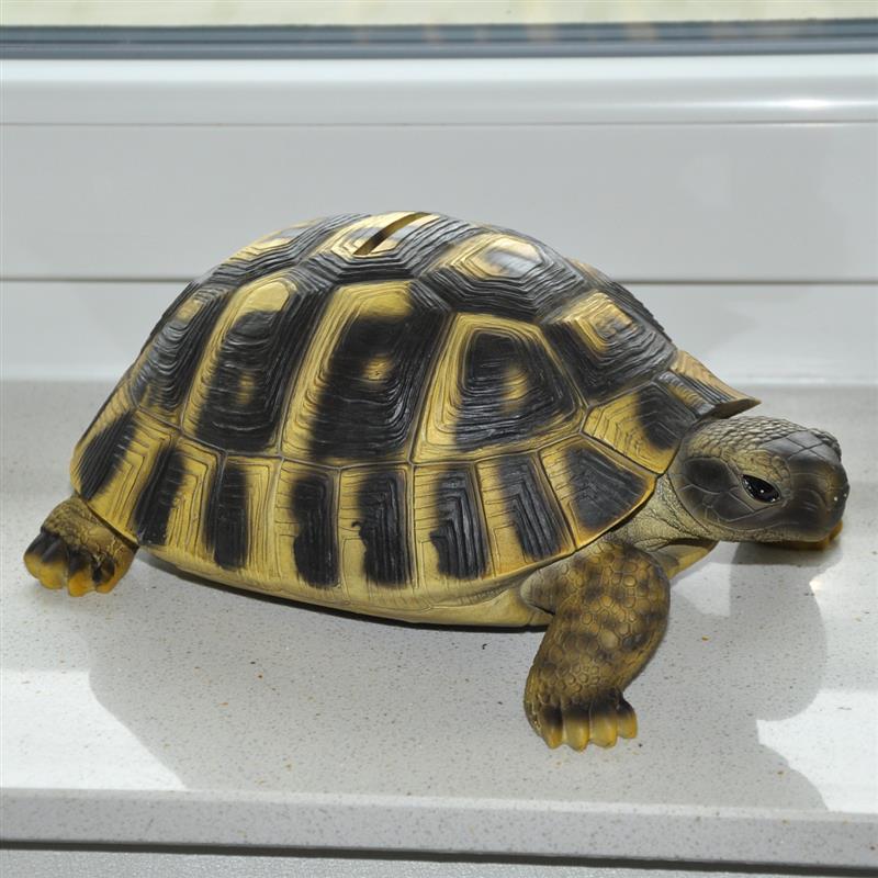 Dazikemo Spardose Sparschwein große Schildkröte