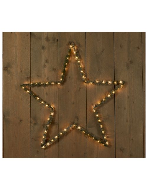Anna's Collection Ster 2-D Met Groen En Verlichting - Verlichting - 75 cm 410 g Wit Groen 70 led