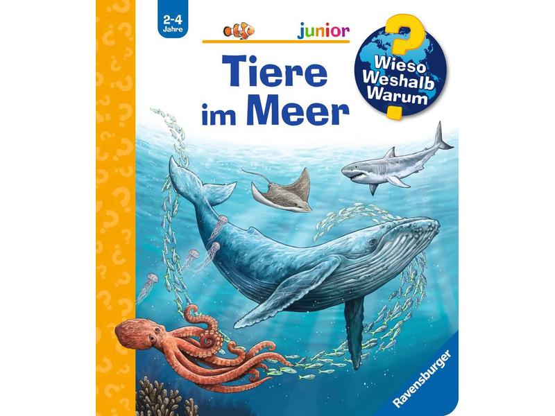 Ravensburger Kinder-Sachbuch WWW Tiere im Meer Abtauchen in Unterwasserwelten und Tiere hautnah entdecken