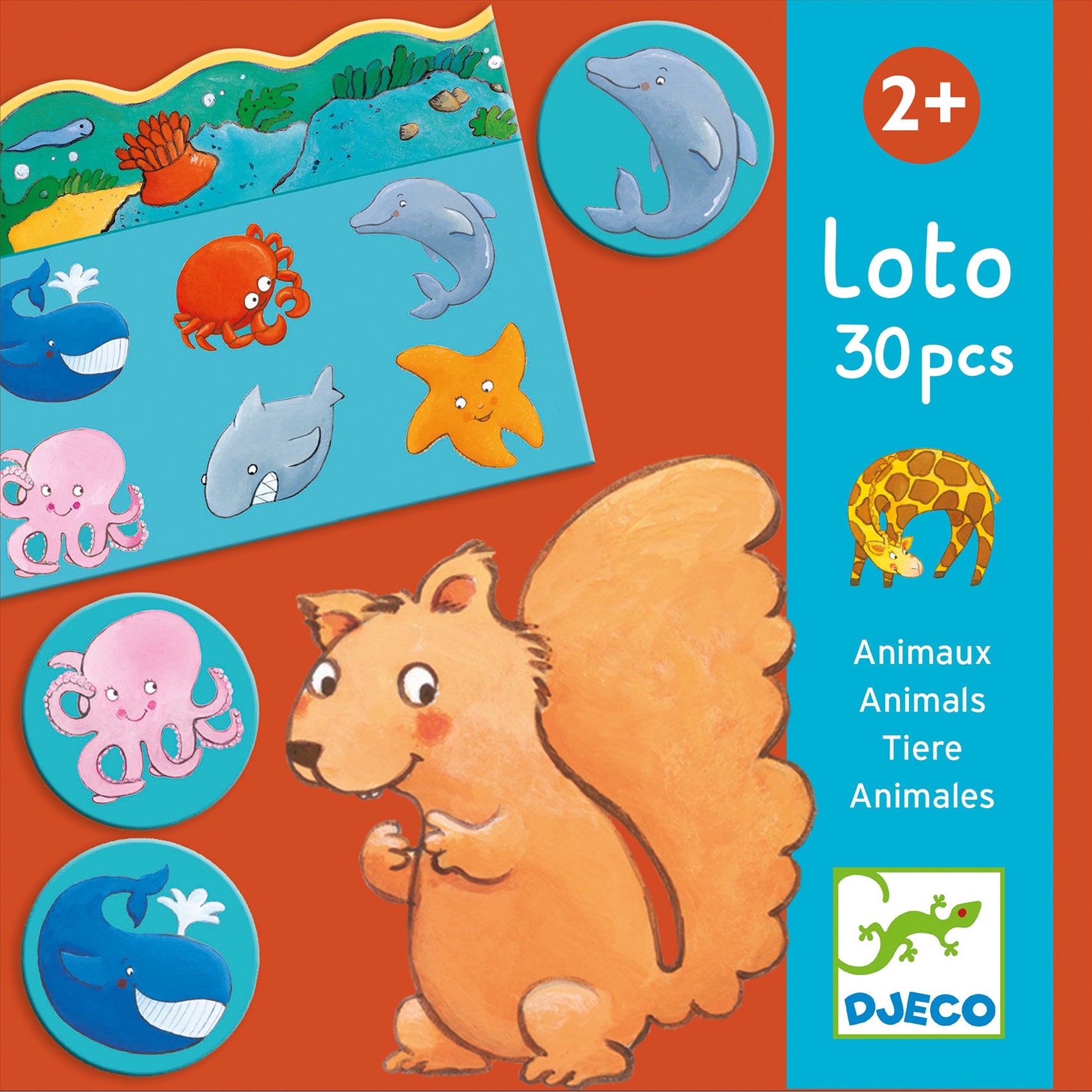 Djeco bingospel dieren DJ08120