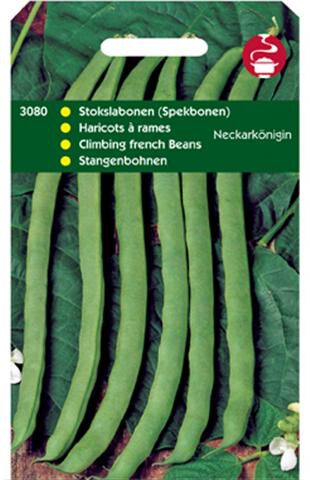 Hortitops Stokspekbonen Phaseolus Vulgaris L. Neckarkönigin (Type Phenomeen) - Groentezaden - 100 Gram