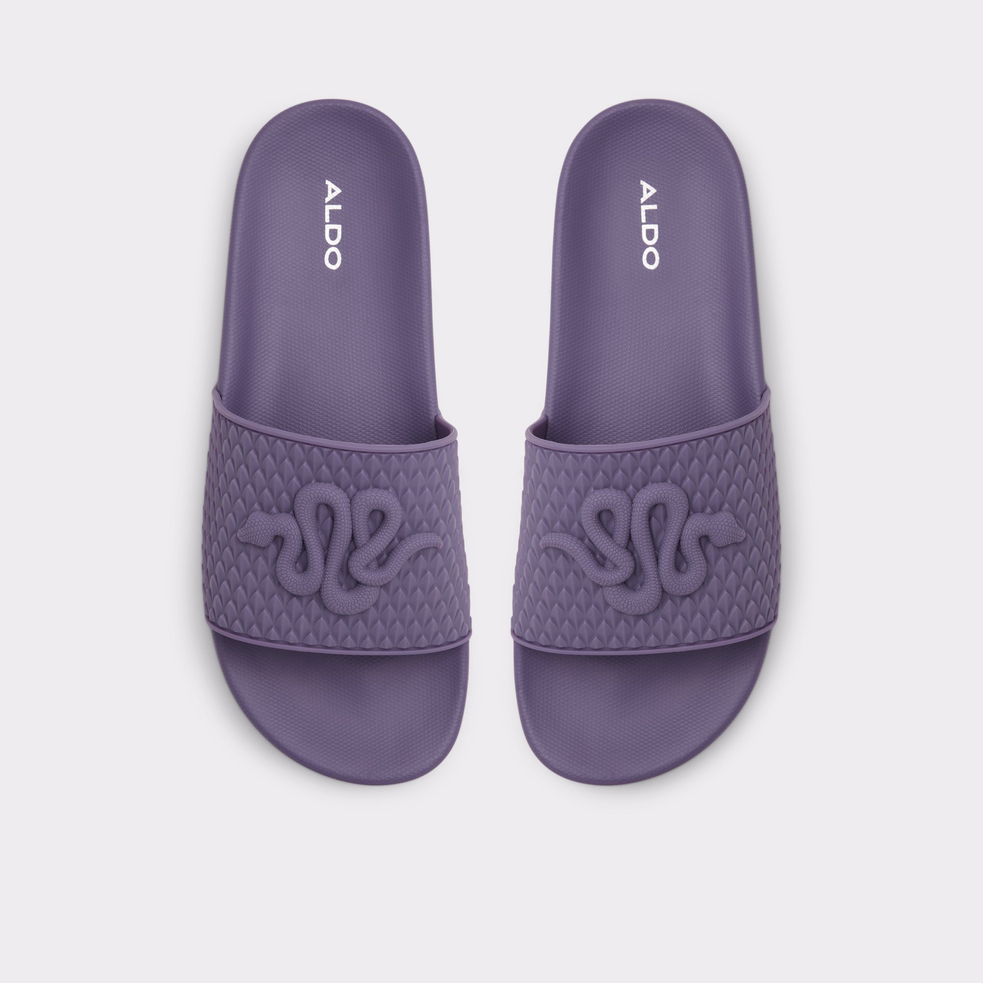 Kedau Bright Purple Men Slides
