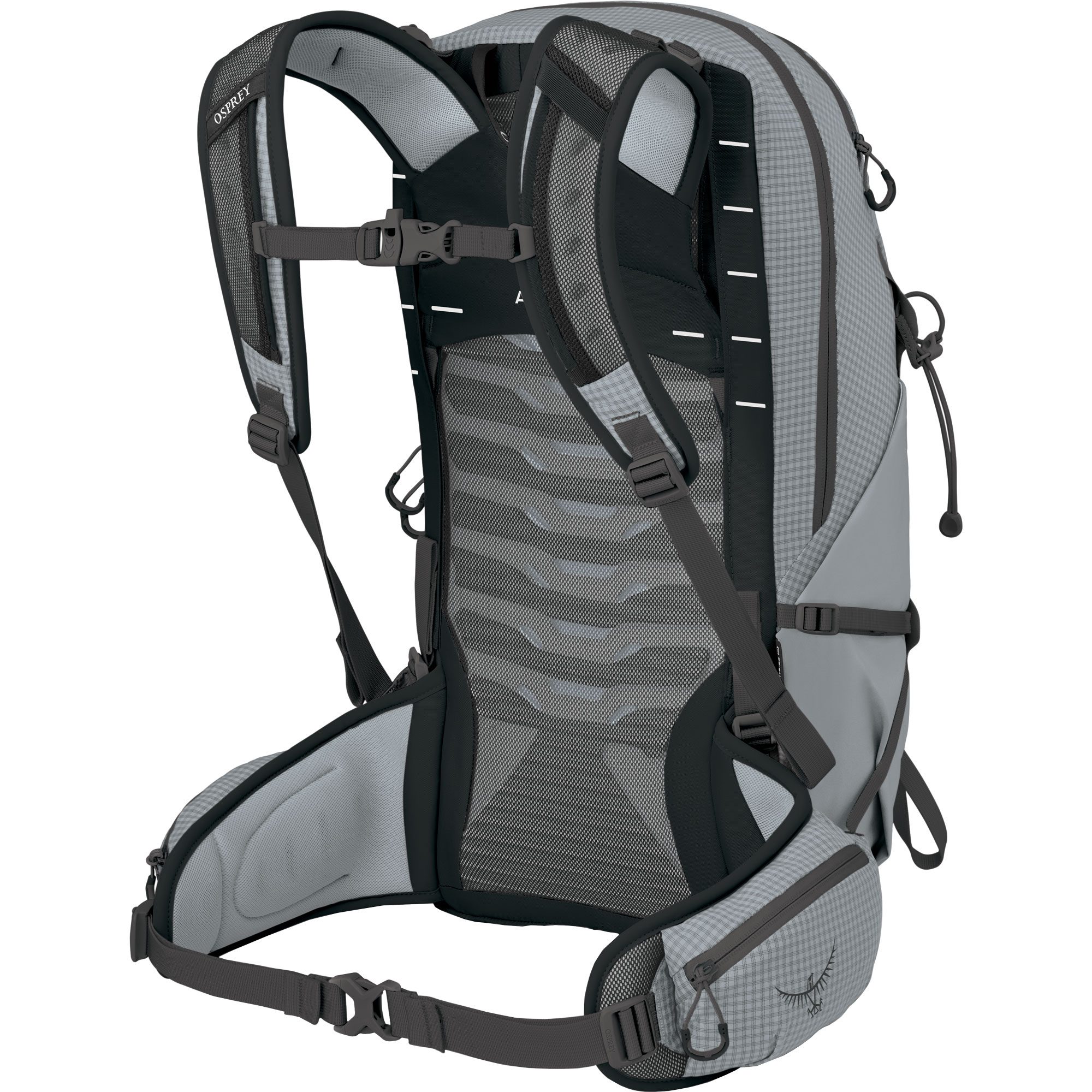 Osprey Talon™ Pro 20L Rucksack silver lining