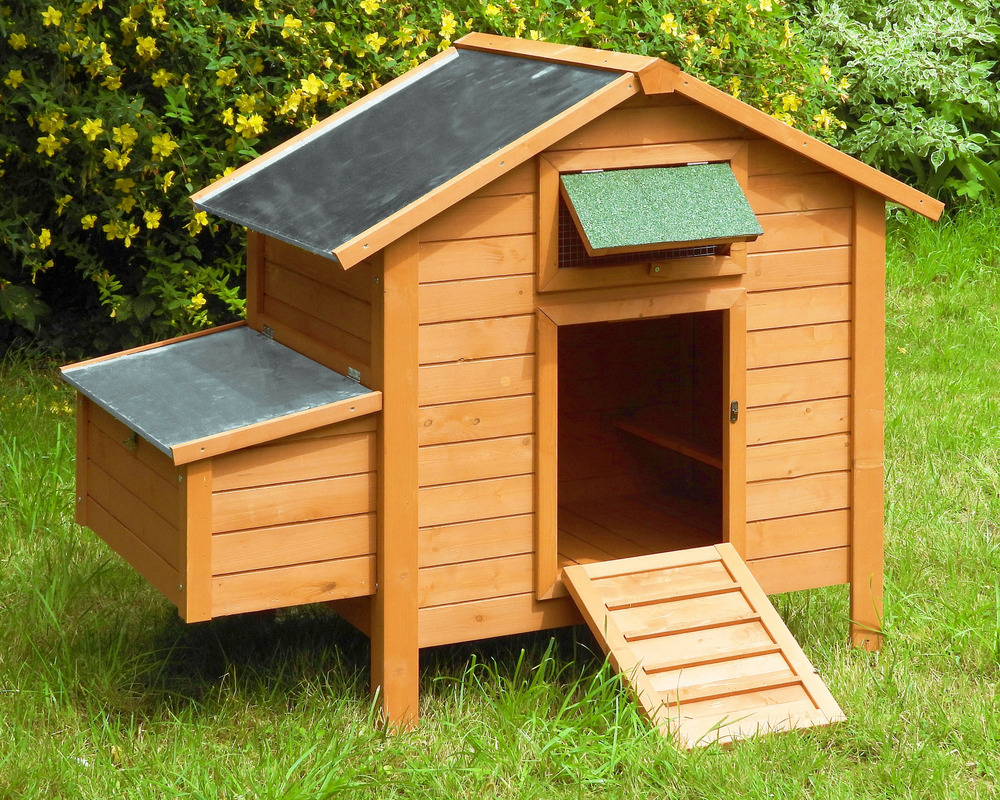 Poulailler island premium • pour 6 à 8 poules • poulailler équipé en bois