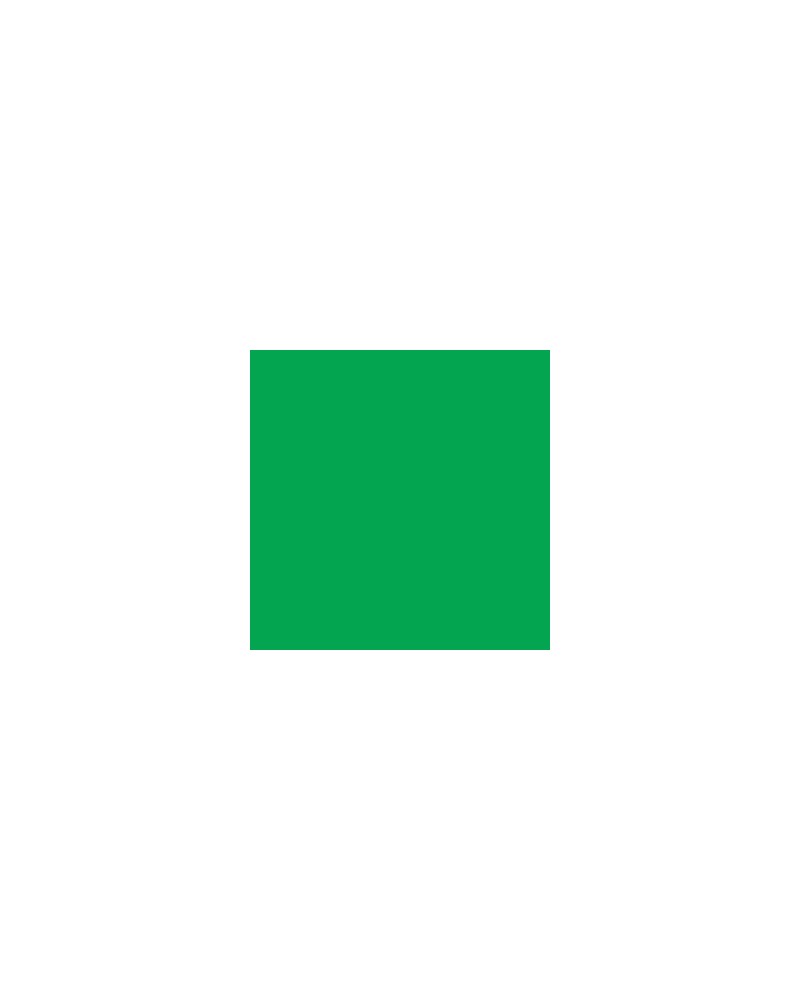 005 - vert - Kuretake Art & Graphic Twin