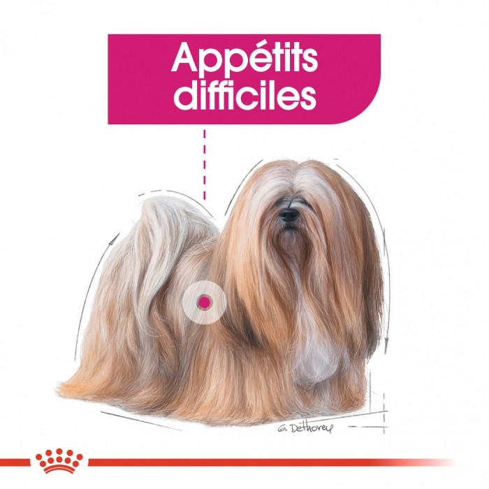 Royal Canin Exigent - Pâtée pour chien