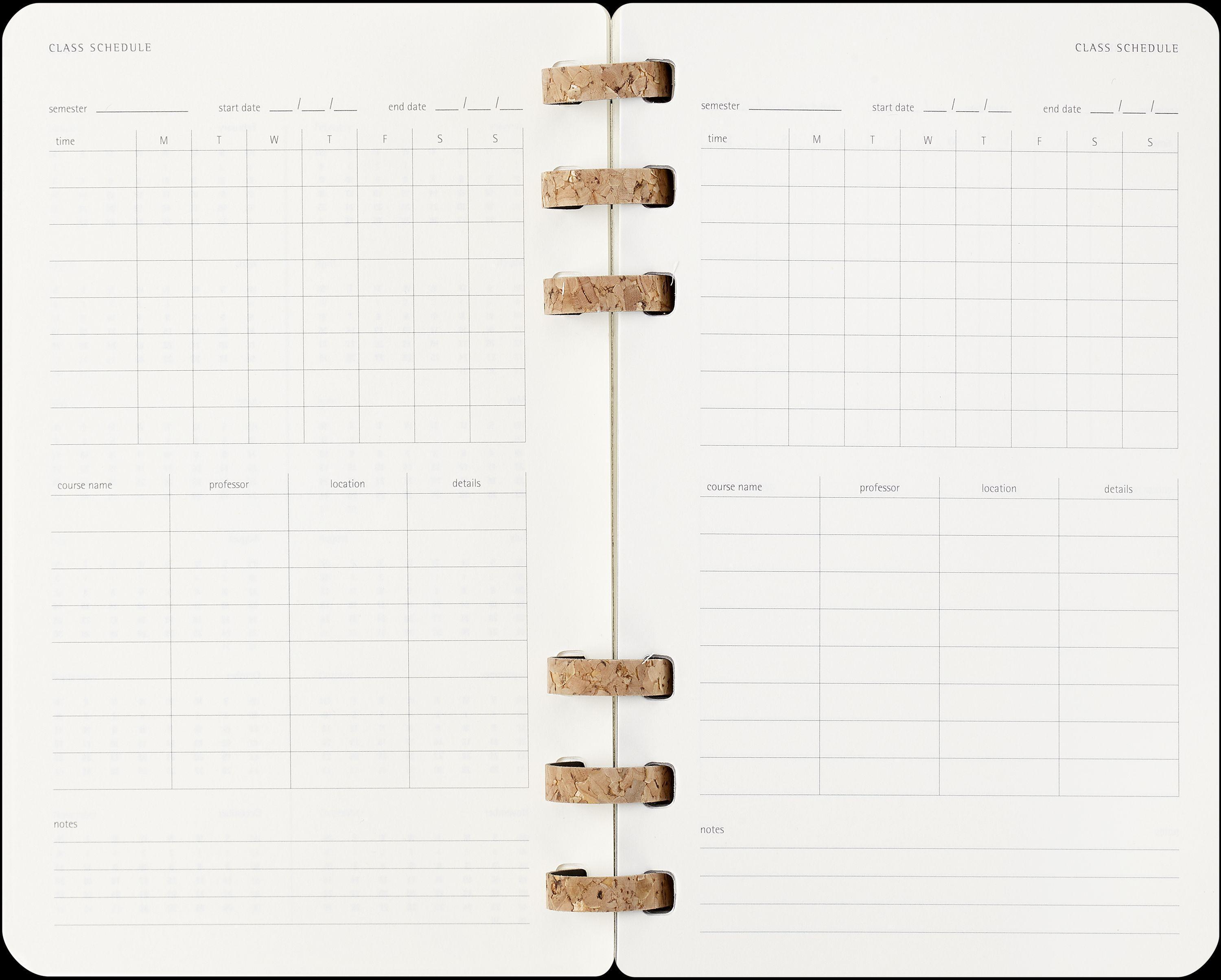 Moleskine 12 Monate Studienplaner mit Spiralbindung 2025, L/A5