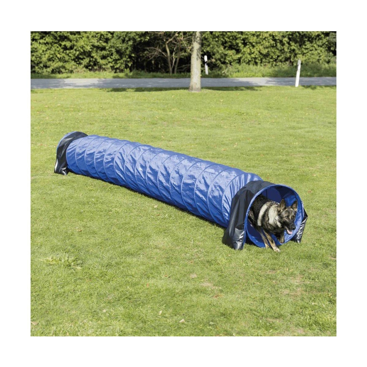 Dog Activity Agility basistunnel, ø 60 cm/5 m, blå