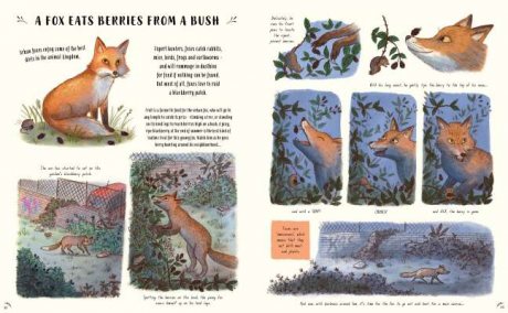 Slow Down: Bring Calm to a Busy World with 50 Nature Stories (Hardback)