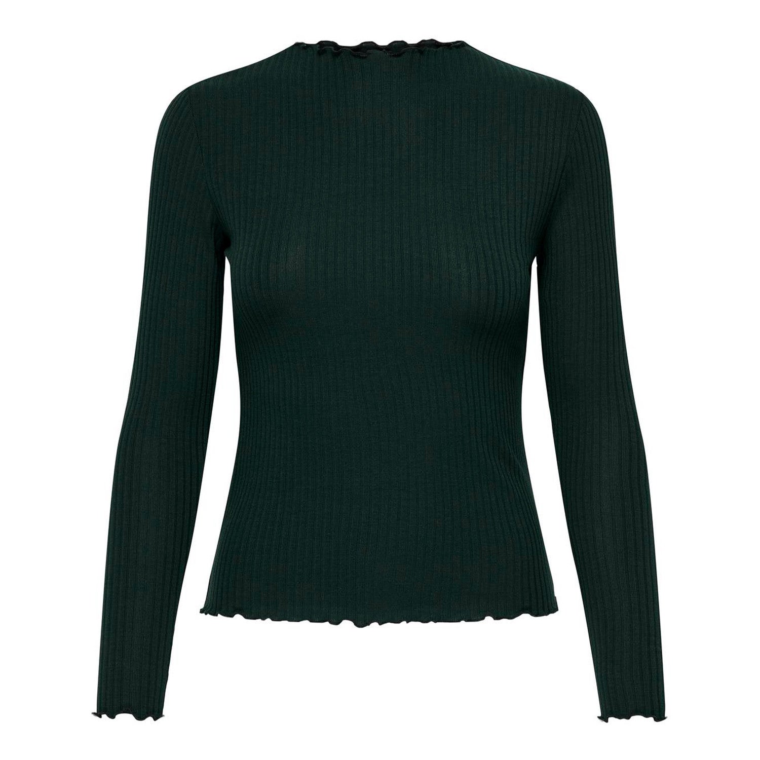 ONLY  Emma Long Sleeve High Neck