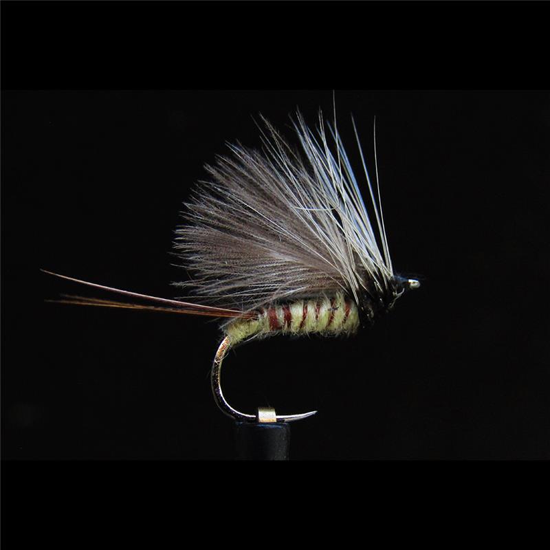 Mouche Jmc Sèches Mai 40 Bl