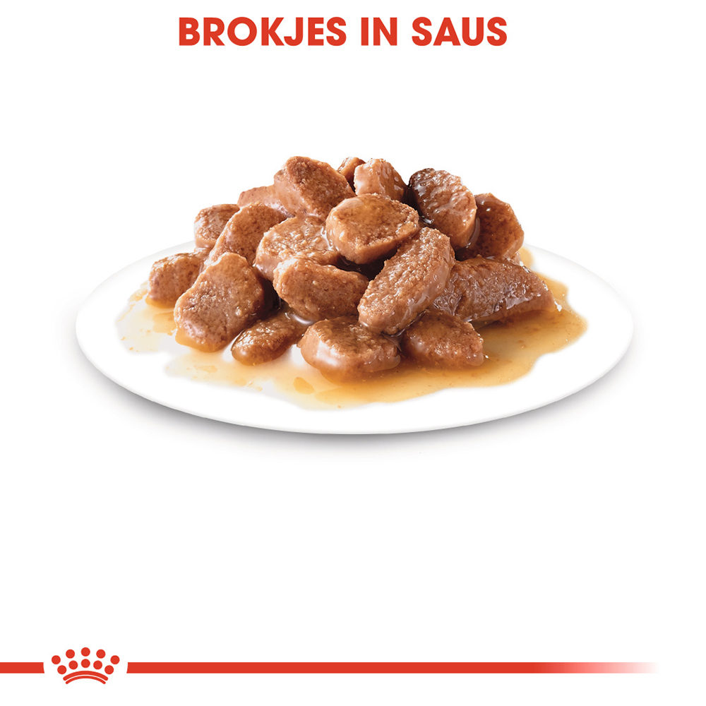 Royal Canin Instinctive in Gravy - Kattenvoer