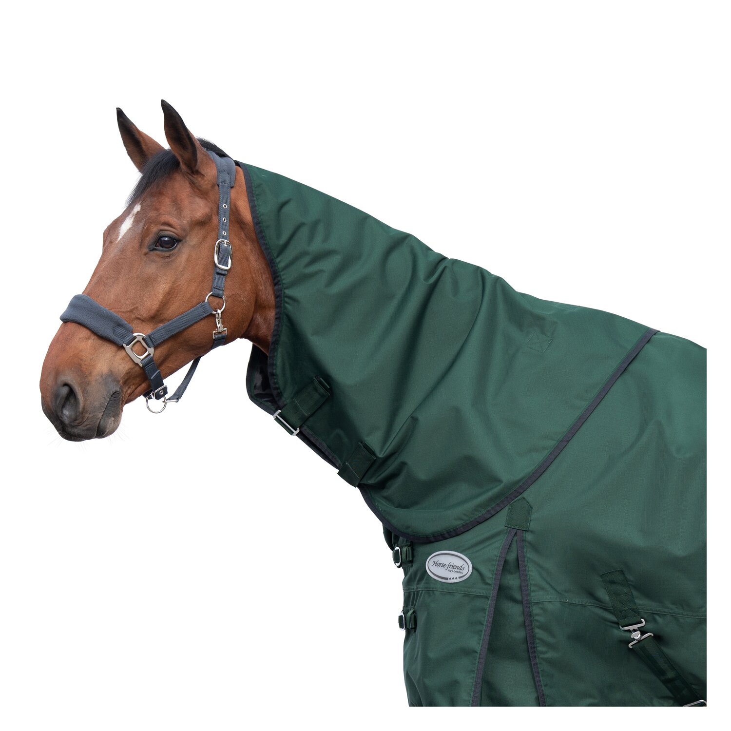 Horse-friends Halsteil Hamburg  - green