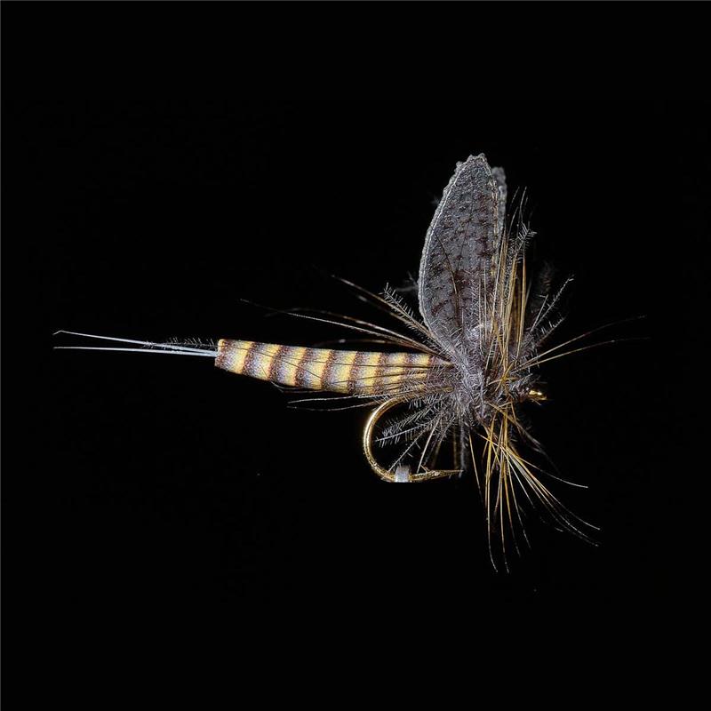 Mouche Jmc Ephémères Jmc 74