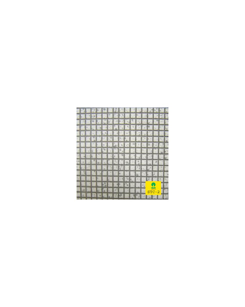 Carrelage STC-2 (7x21,5cm)
