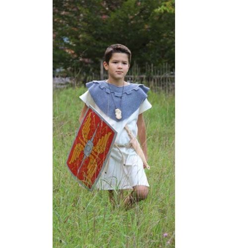 Romeins schild alexius rood - groot