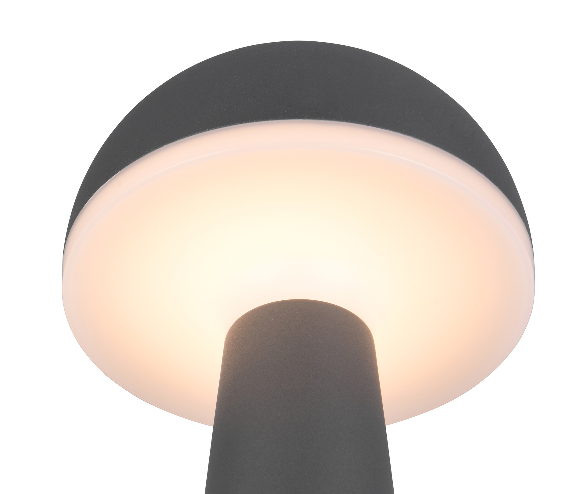 RL Akku LED Tischlampe FUNGO anthrazit