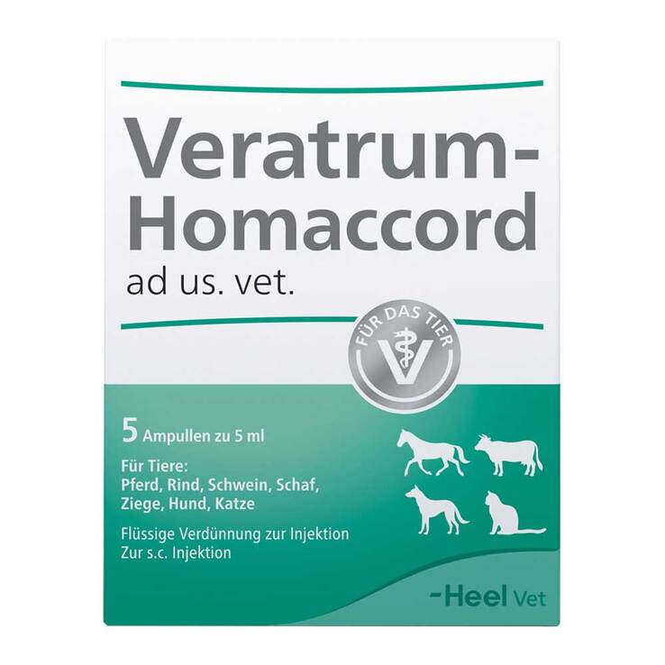Veratrum Homaccord Ampullen vet. (für Tiere), 5 St