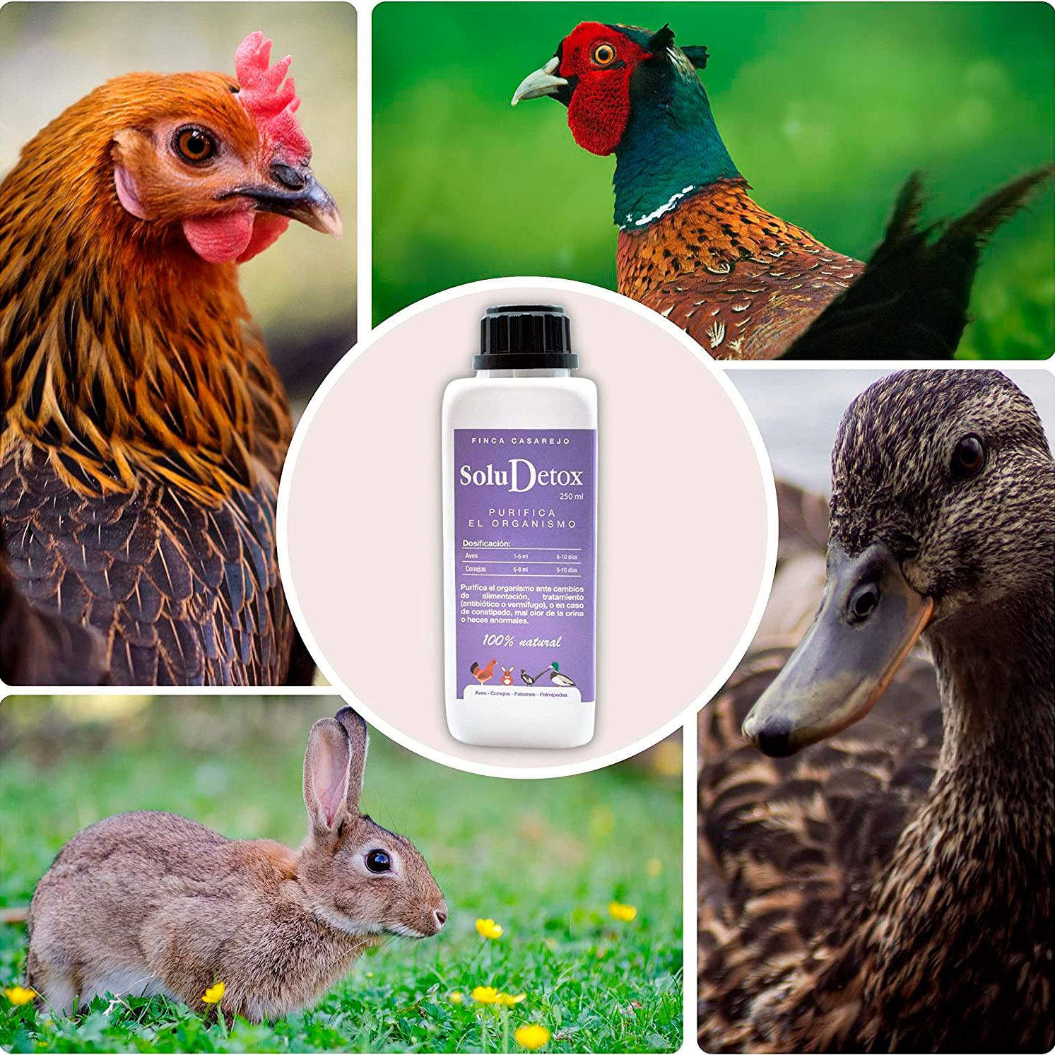 Suplemento alimentar Finca Casarejo Soludetox para aves e coelhos
