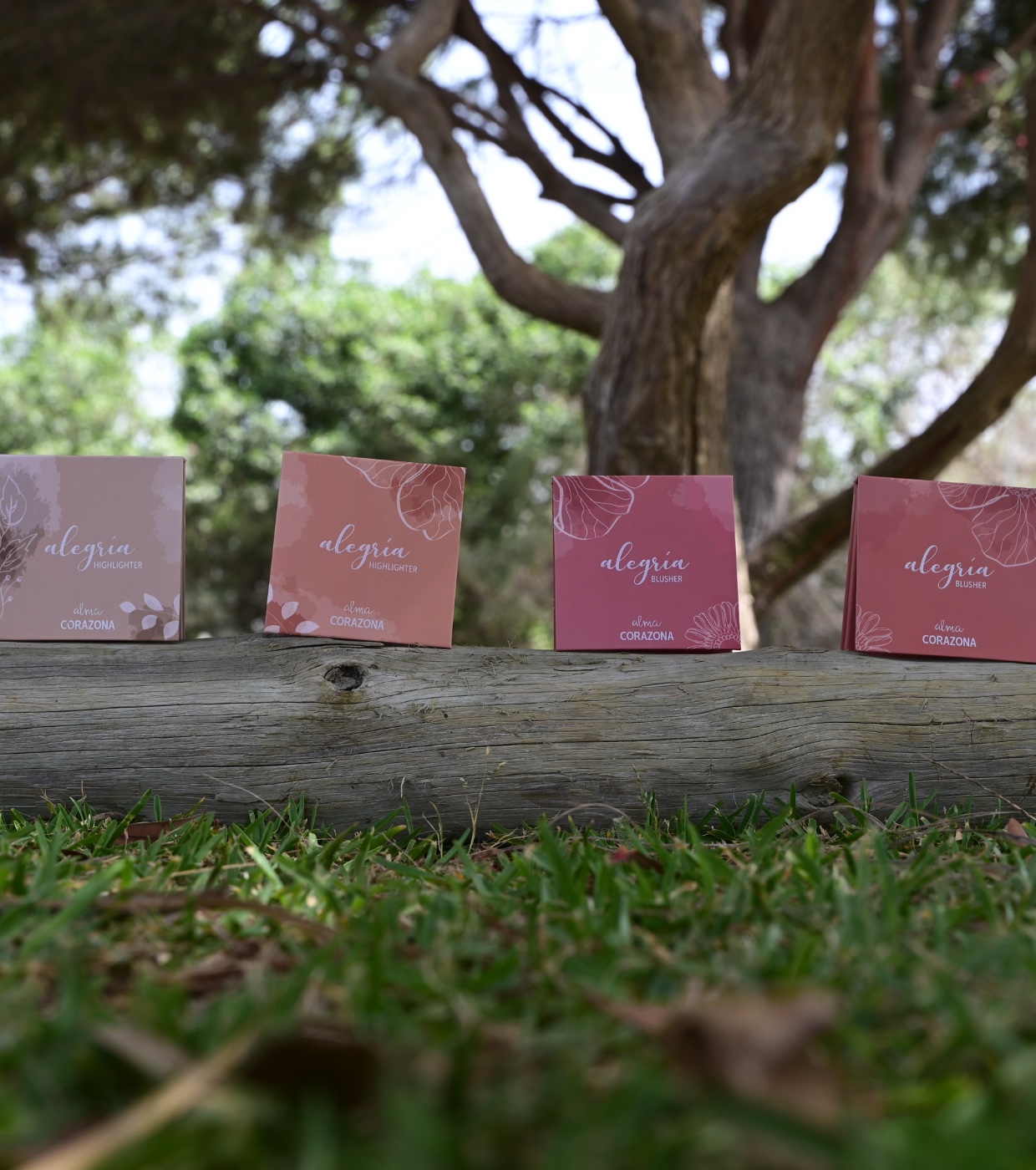CORAZONA - *Coleção Alegría x Alma* - Blush em pó - Bocao