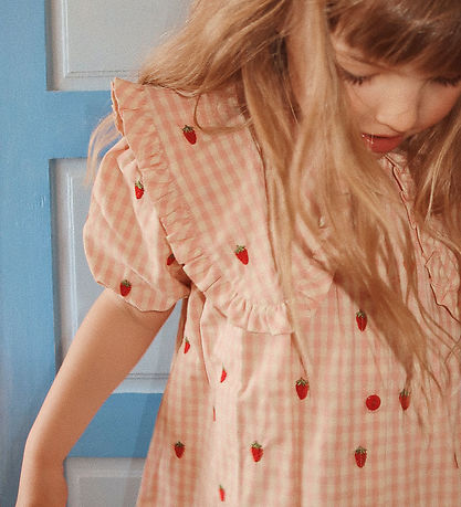 Flöss Kleid - Puppe - Pink Berry Gingham