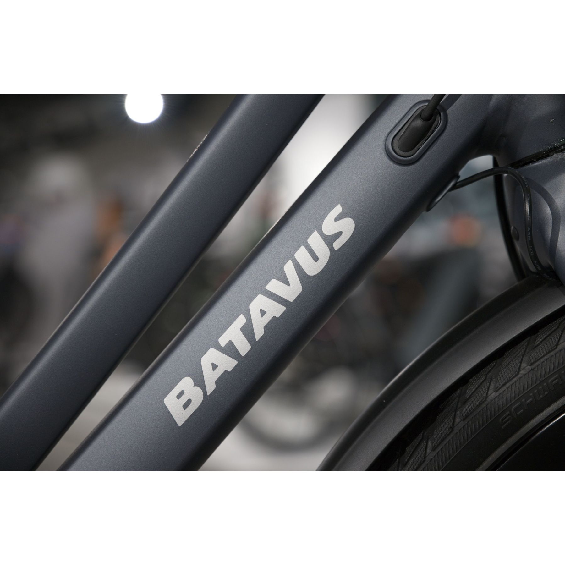 Batavus Dinsdag E-Go Exclusive LTD