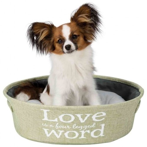 Cama redonda de design exclusivo para cães na cor verde.