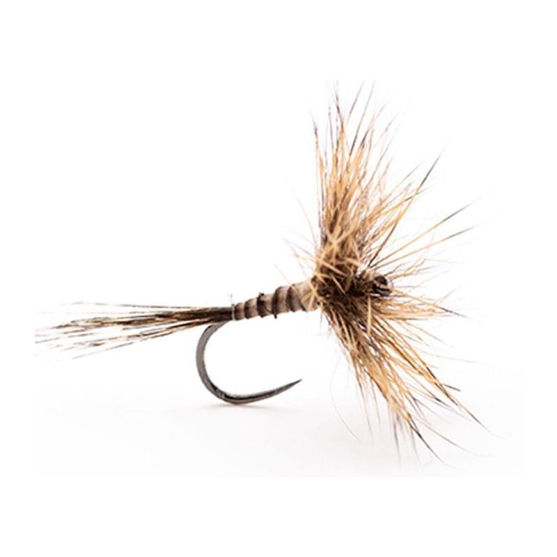 Mouche Devaux Seche Al01