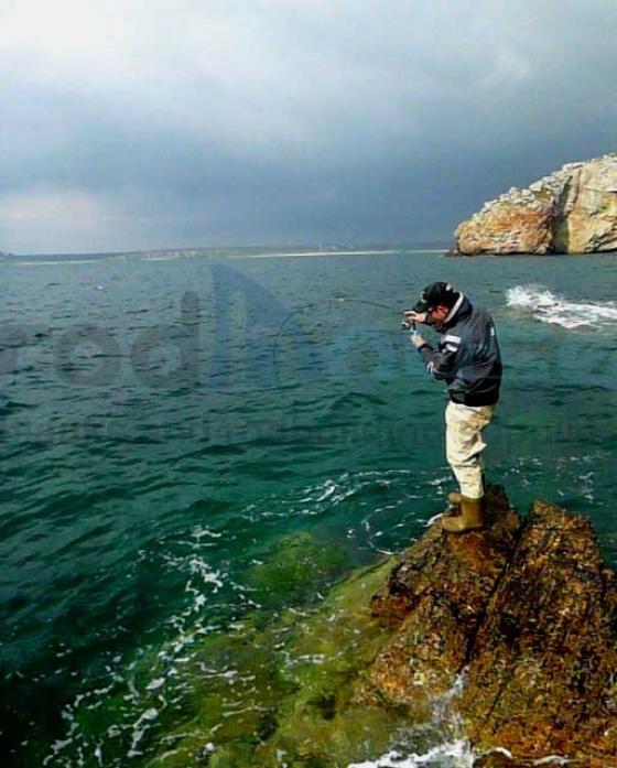 Blank TR69 Super Rozy Figaro 2m 0.3-3.5grs Rockfishing