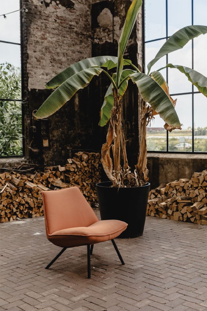 Eijerkamp Collectie Sunny Fauteuil
