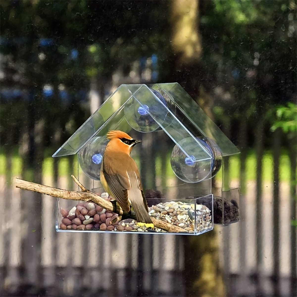 (15x15cm) Acryl Fenster Vogel Haus Outdoor Futterspender Deko Vogelhäuschen mit Saugnäpfen - Transparent